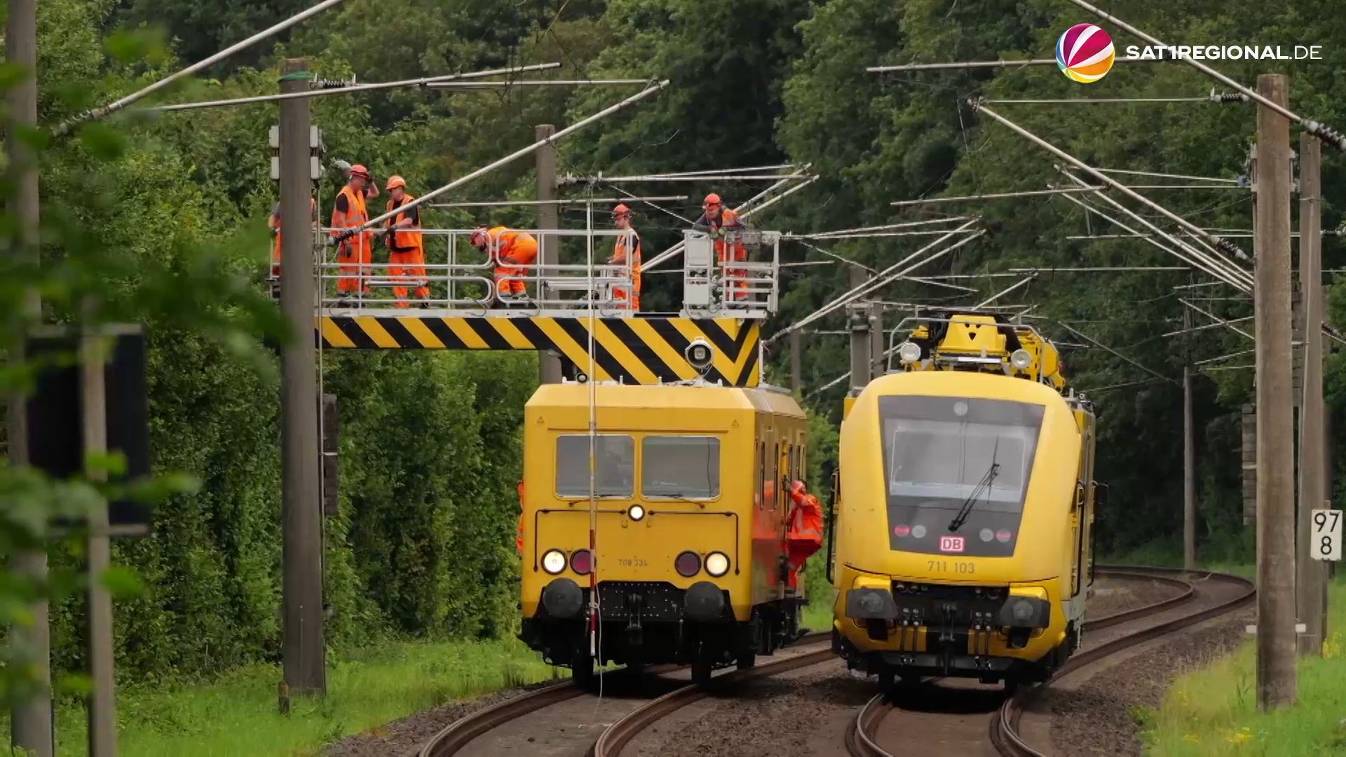 Video: Umgestürzter Baum legt Bahnverkehr rund um Kiel lahm