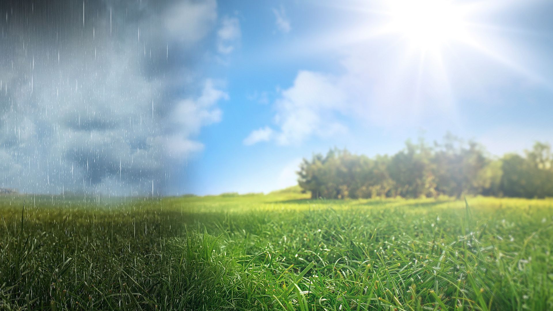 Video: Schimpfen ohne Anlass? Eine Sommerbilanz