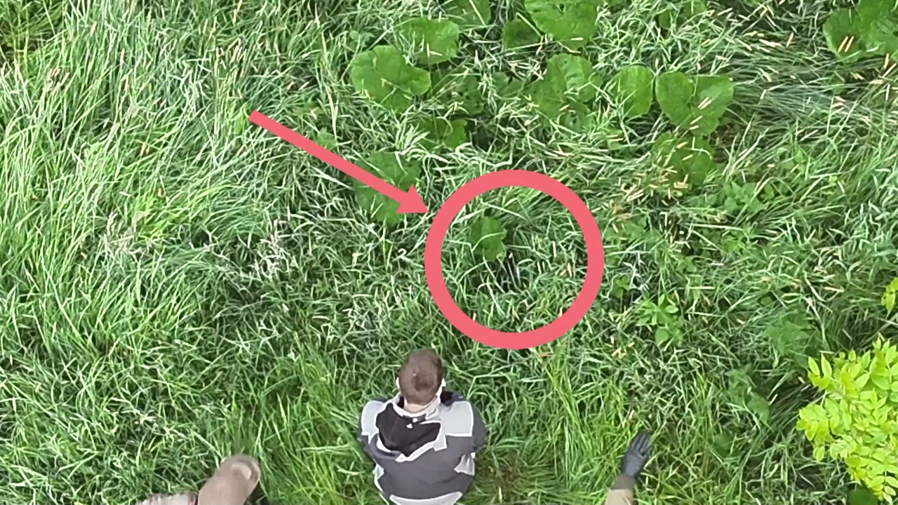 Drohnenpiloten retten Rehkitze vor Mähdreschern