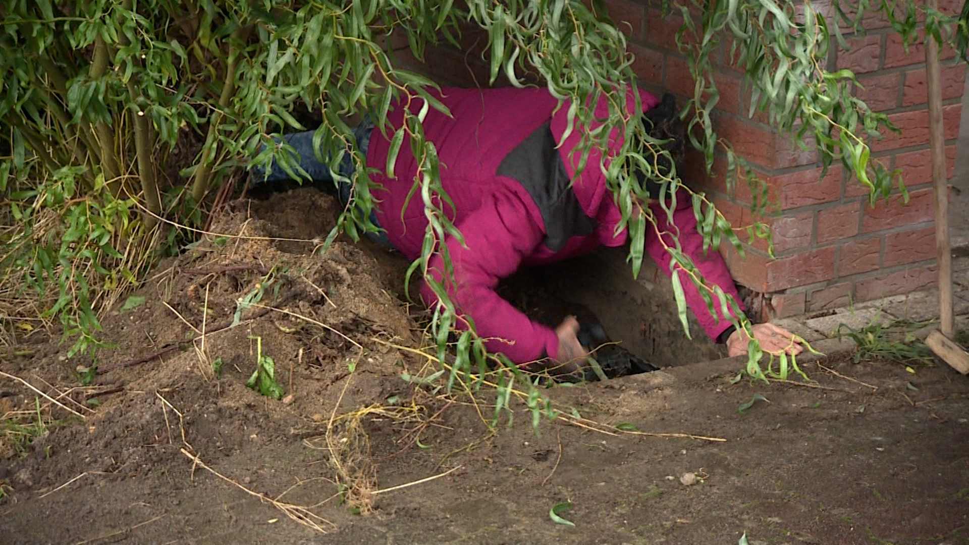 Video: Hund unter Garage: Retter verzweifeln