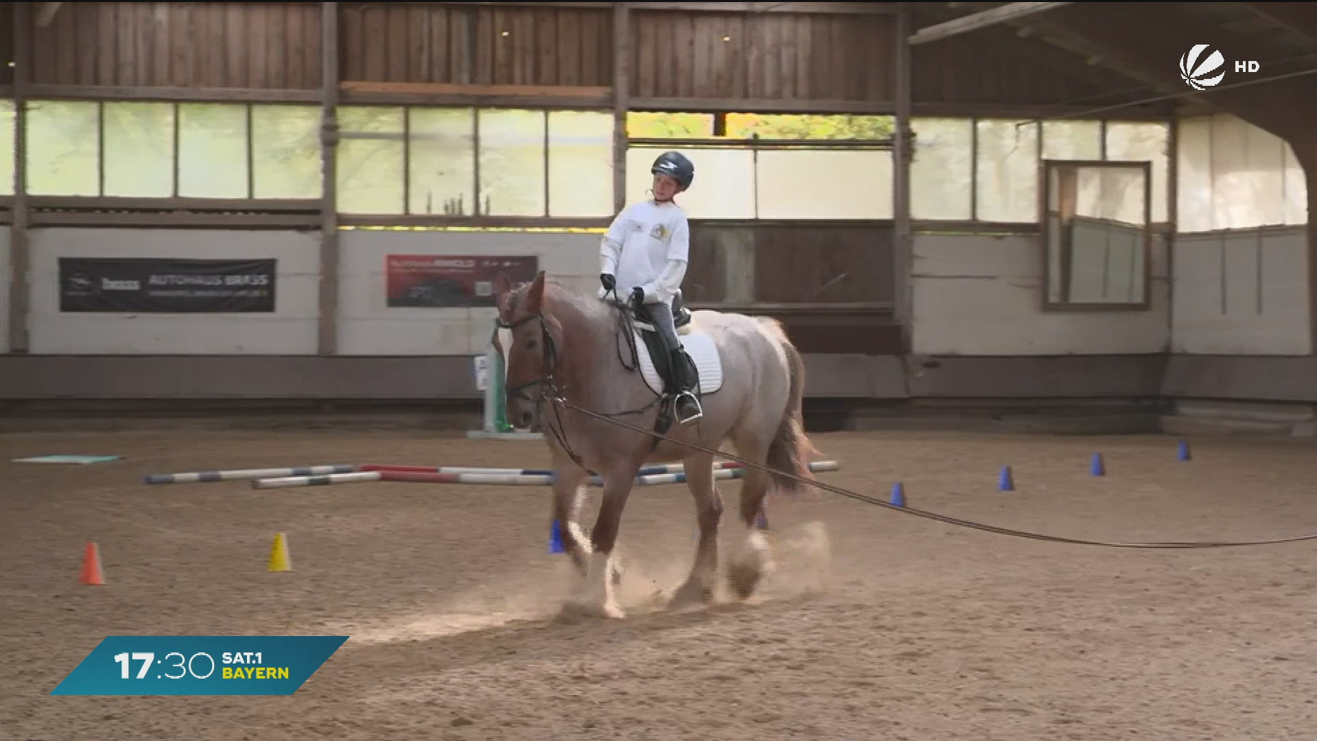 Video: Reithalle statt Turnhalle: Schulprojekt in Alzenau bringt Kinder aufs Pferd