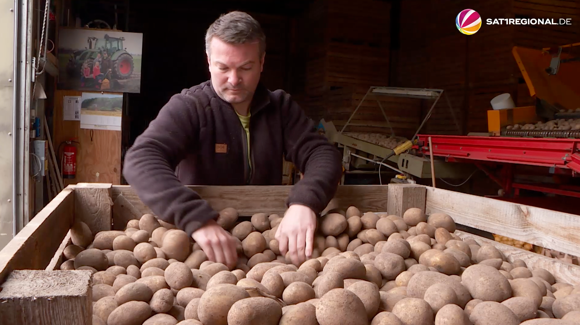 Video: Kartoffelschwemme in Niedersachsen: Gute Ernte führt zu Überschuss an Erdäpfeln