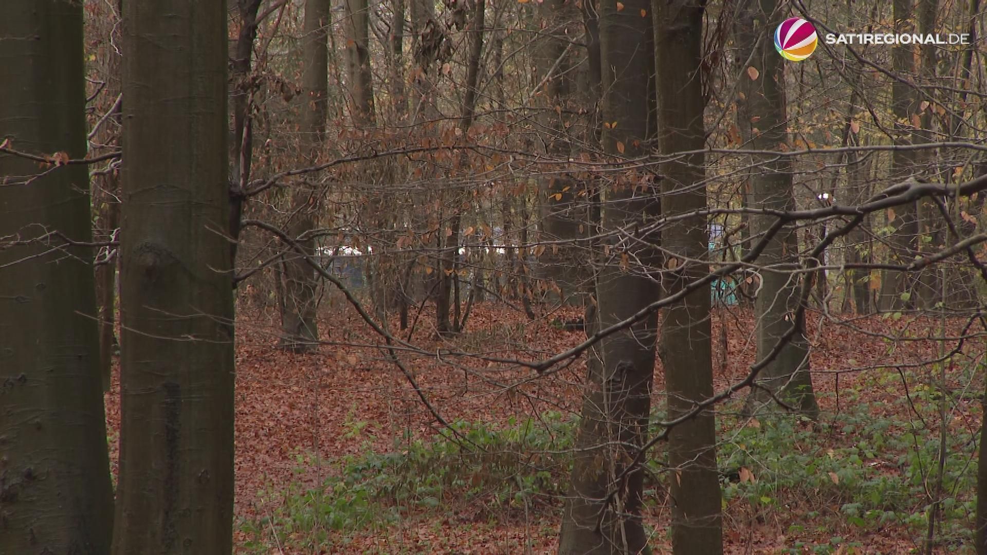 Video: Fehmarnbeltquerung: Deutsche Bahn will 4.500 Bäume fällen