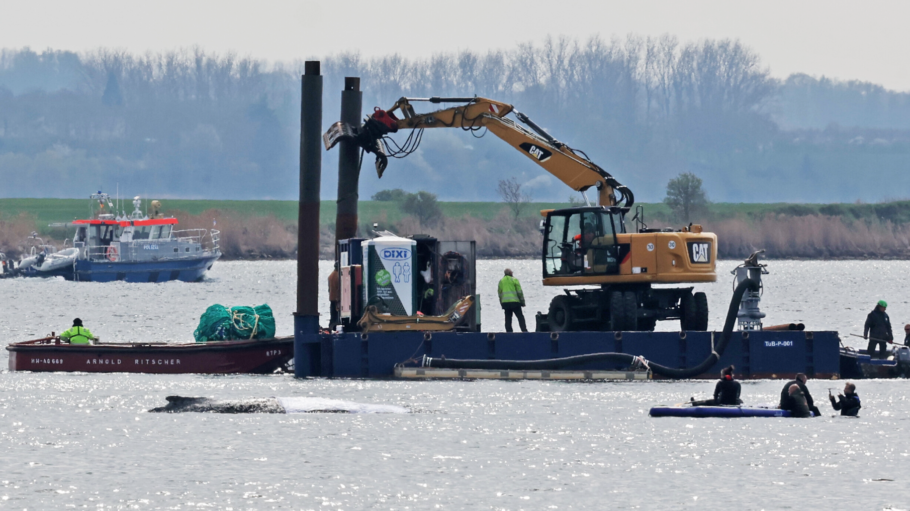 Video: Weiter Bangen um gestrandeten Wal