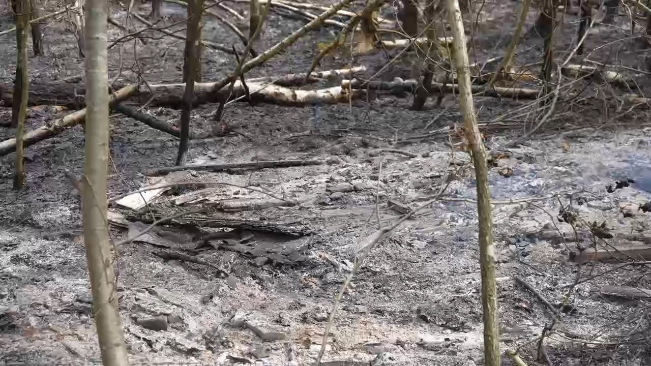 Video: Waldbrandgefahr in Bayern: 12 Hektar Wald bei Ansbach in Flammen