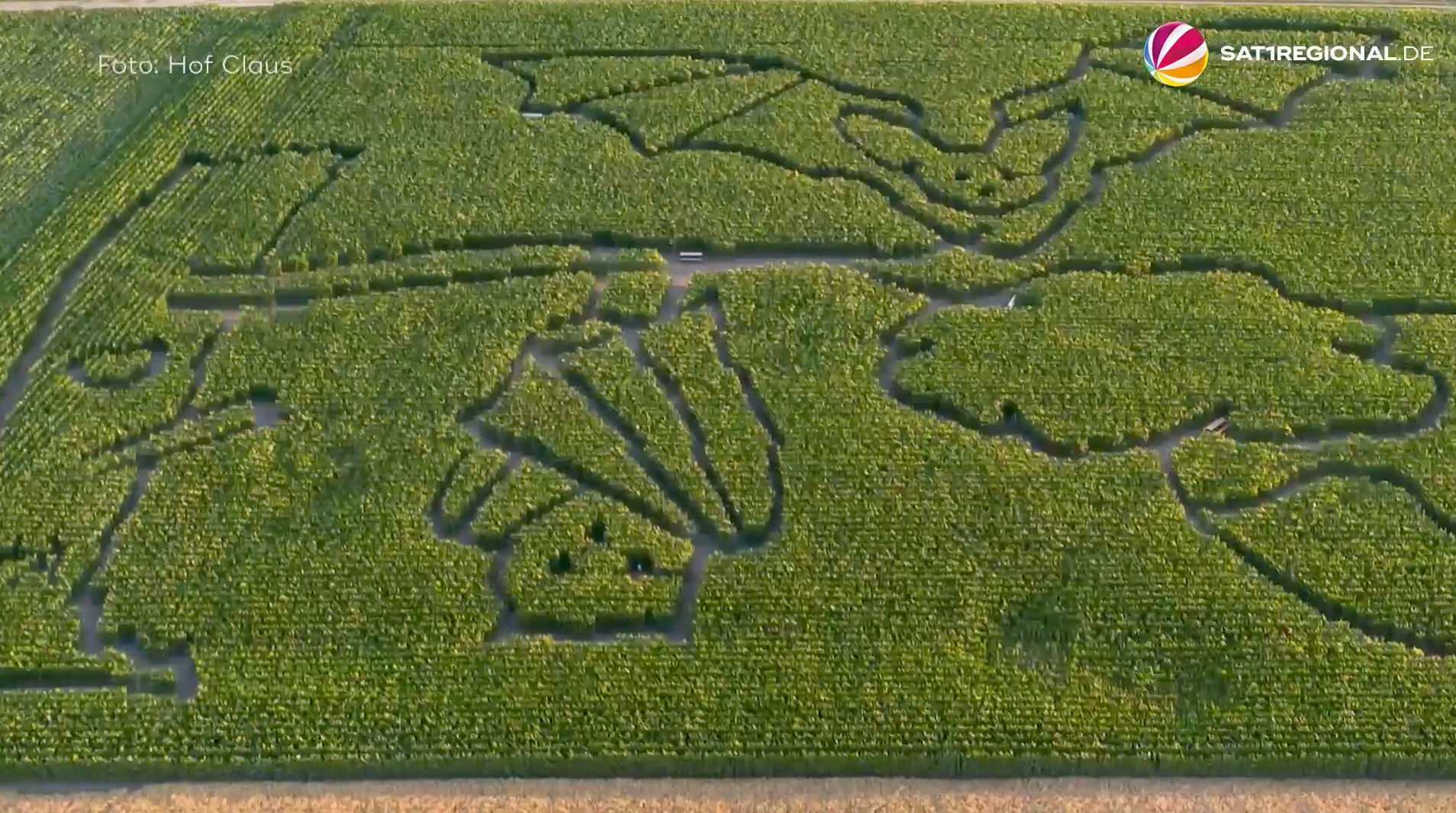 Video: Fledermaus-Irrgarten: Drei Hektar Maislabyrinth in Wietze