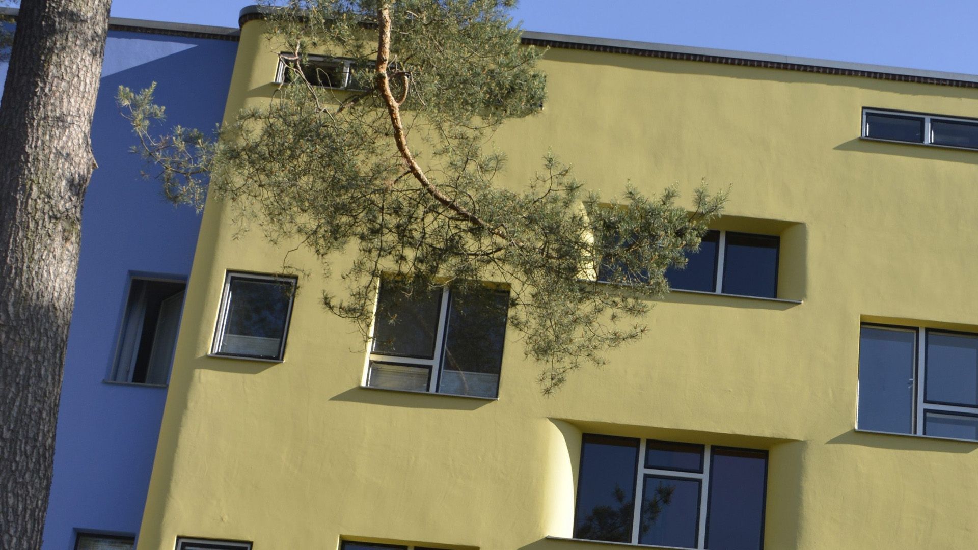 Video: Bauhaus-Siedlung bald UNESCO-Welterbe?