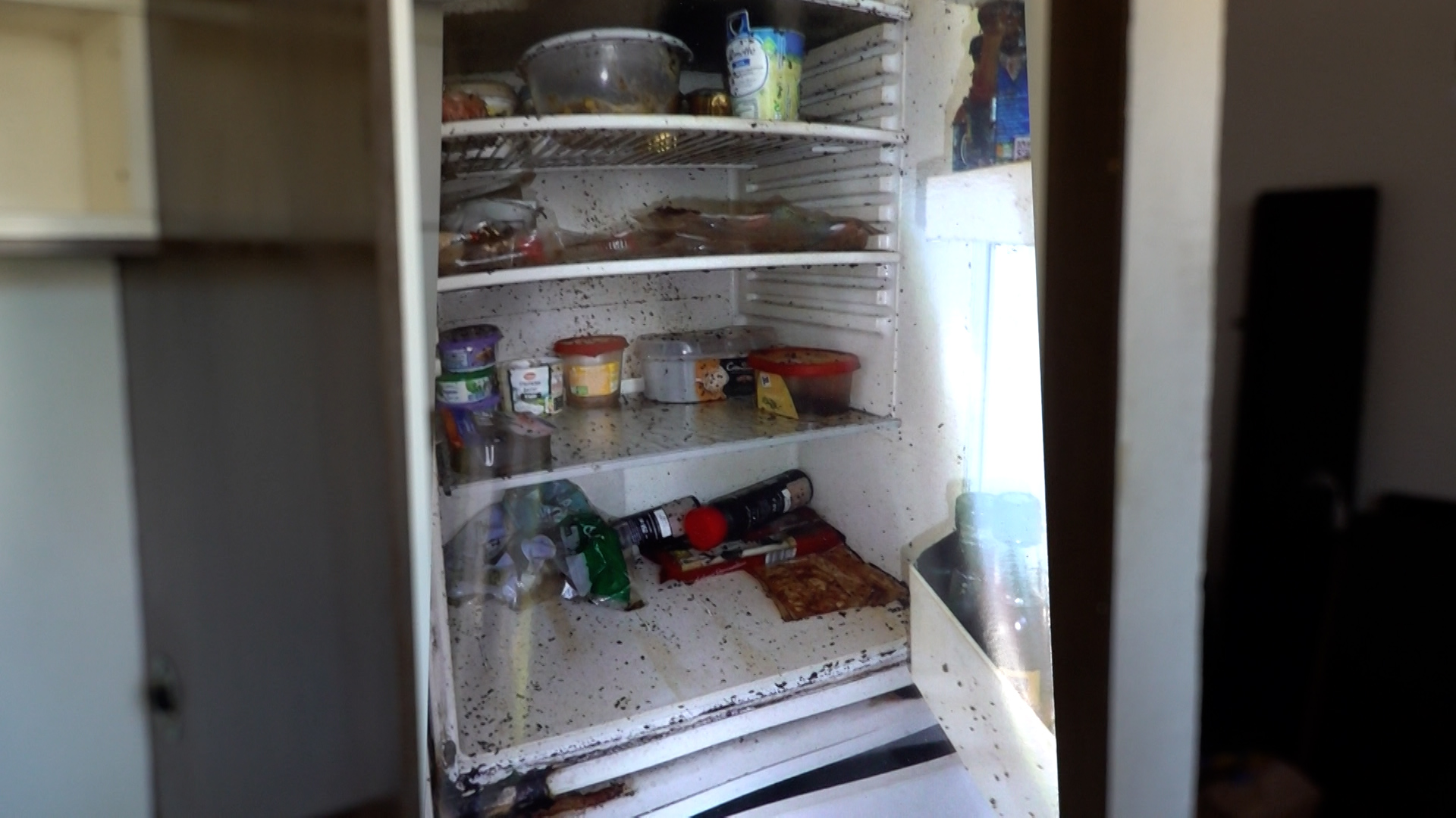 Video: Mietnomaden hinterlassen Chaos - 6000 Euro futsch und die Wohnung stinkt