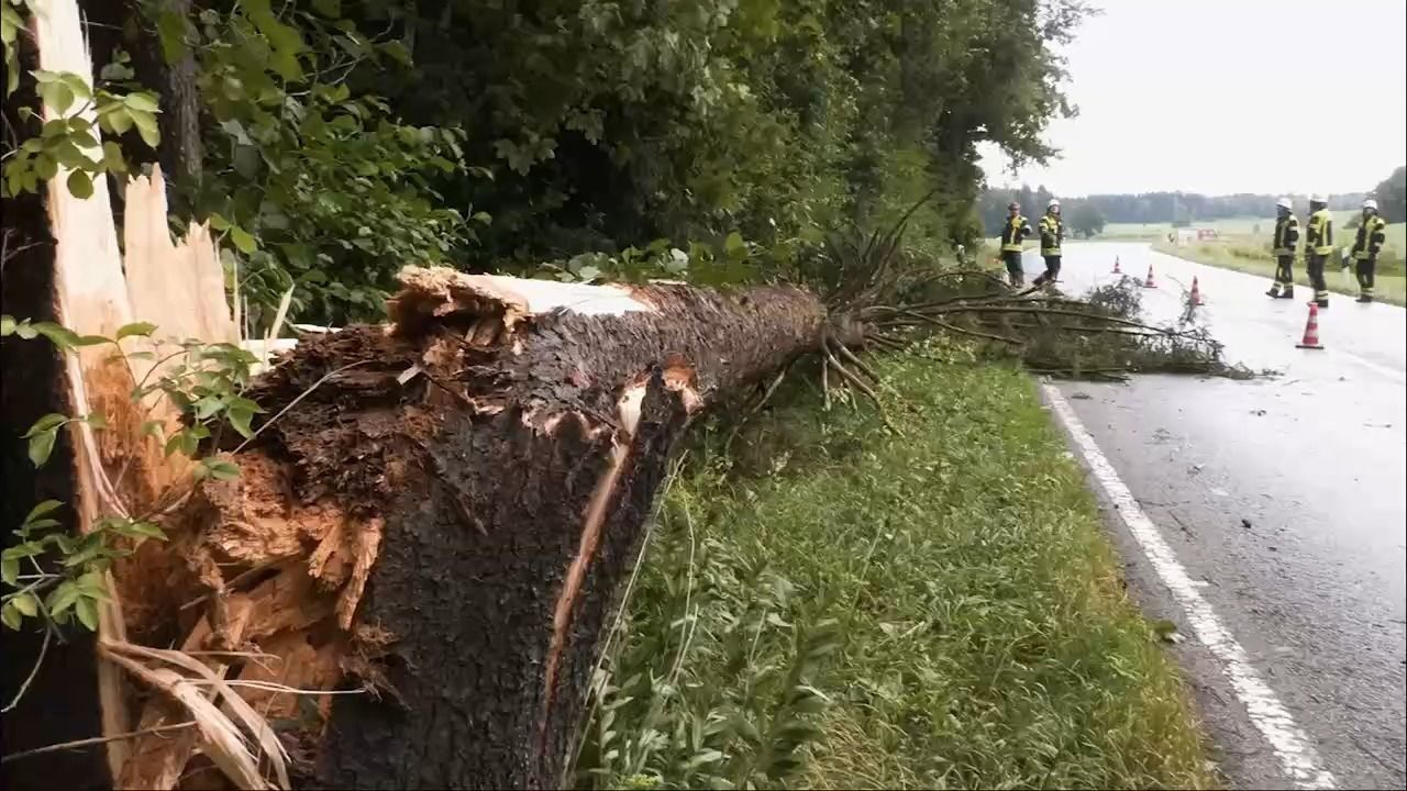 Video: Unwetter nach Hitze: Umgestürzte Bäume und überflutete Straßen