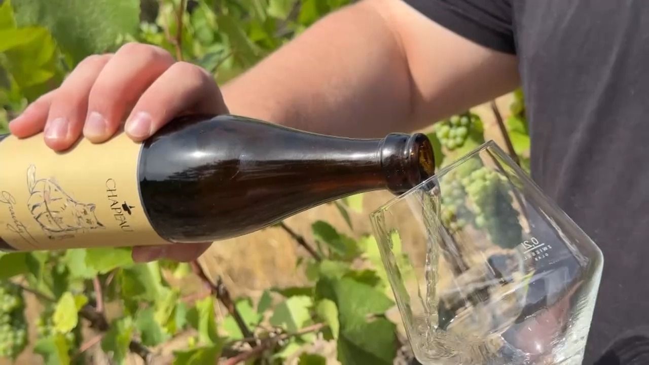 Video: Wein aus der Bierflasche: Winzer aus Leinach setzt auf Mehrweg
