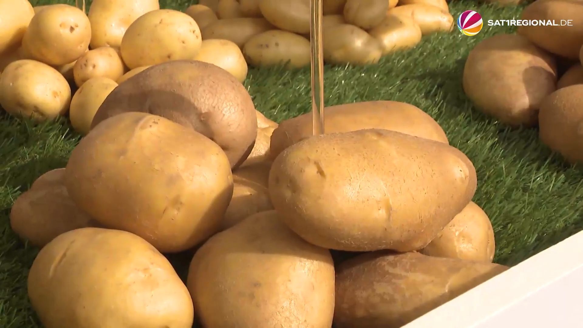 Video: PotatoEurope: Fachmesse für Kartoffelanbau in Niedersachsen