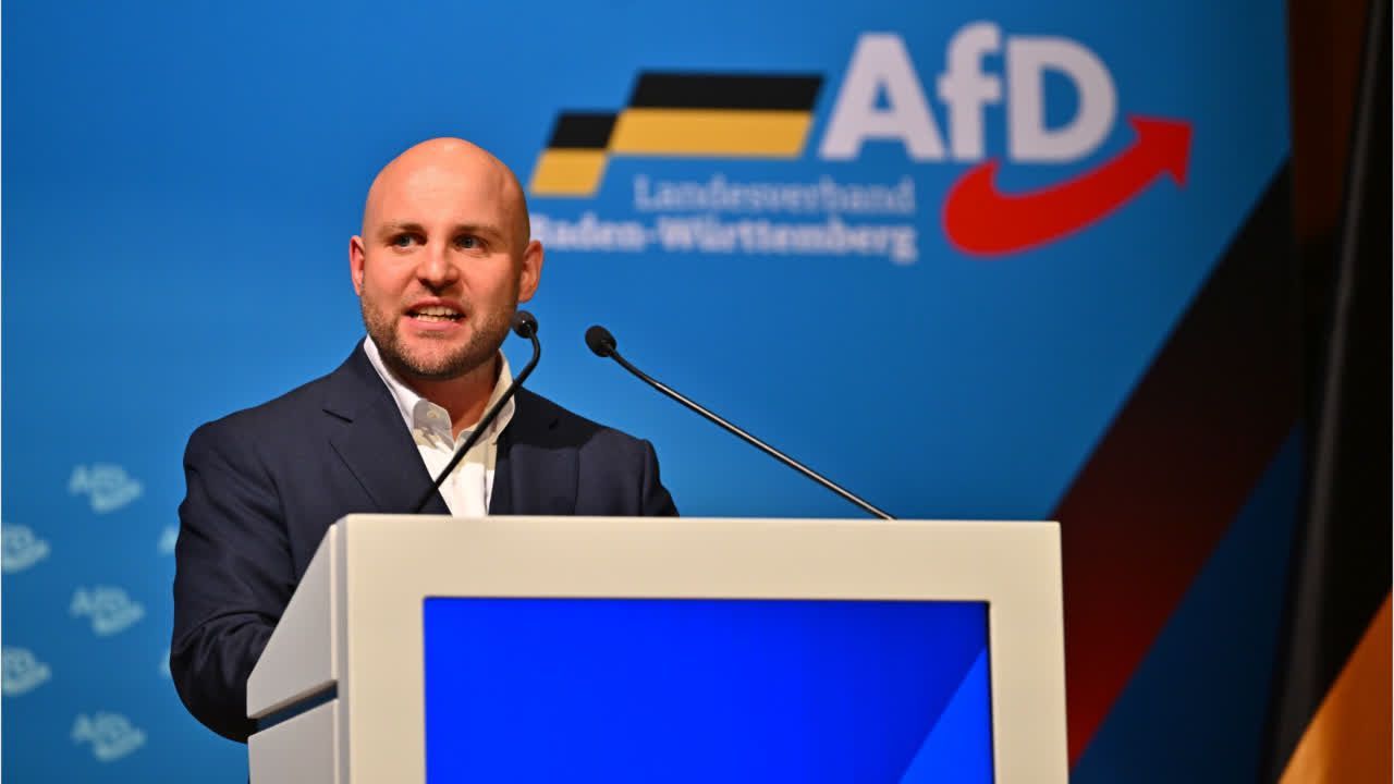 Baden-W-rttemberg-Jeder-Zweite-gegen-AfD-Brandmauer
