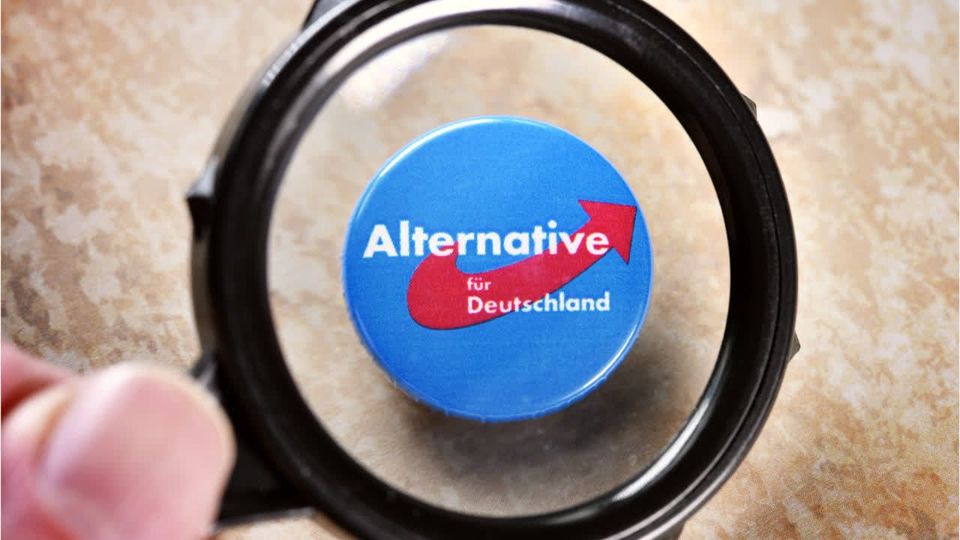 IWH-Präsident warnt vor AfD-Wahlsieg