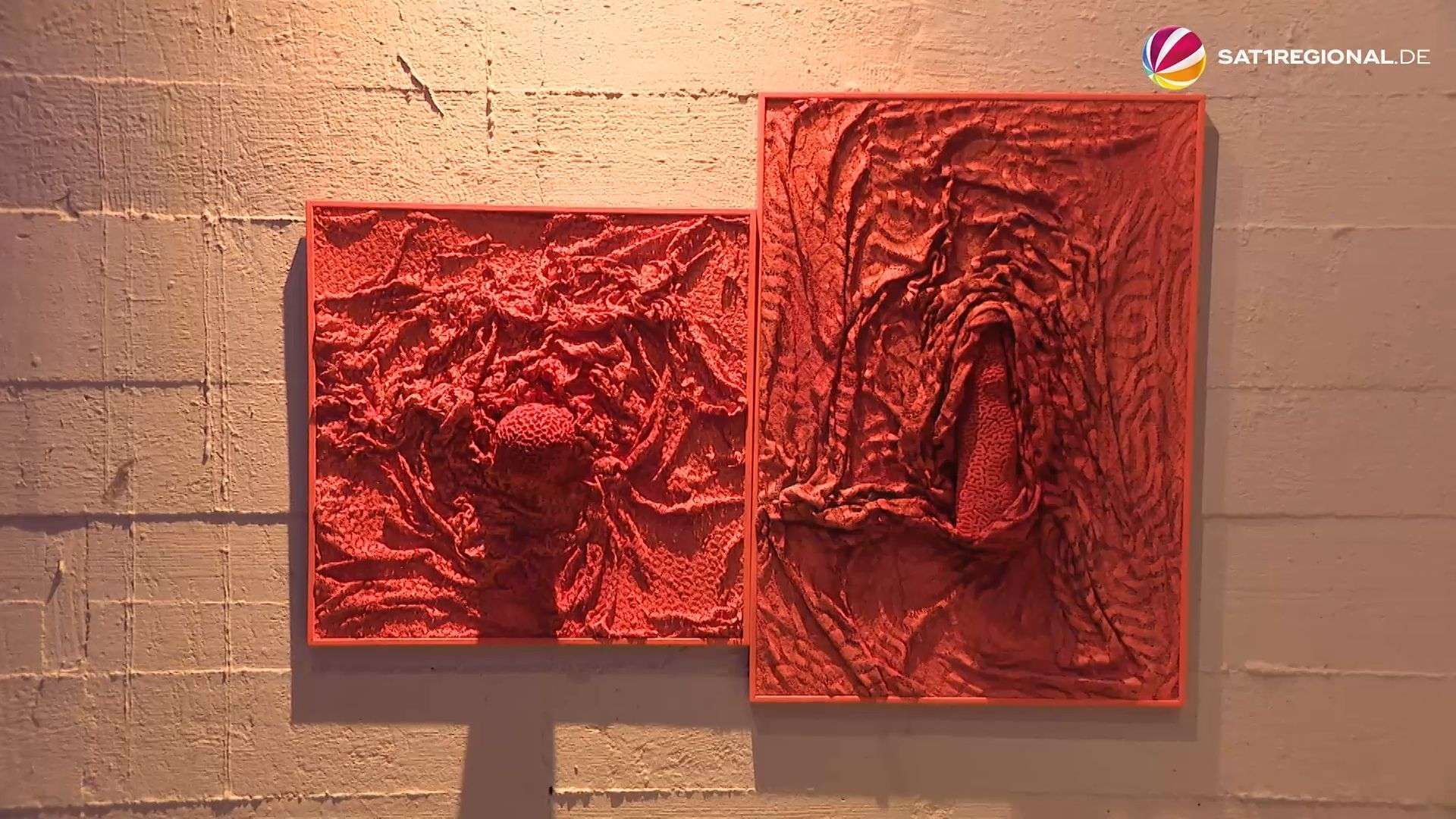 Video: Ausstellung „Lace is More“: Künstler macht Korallenriffs aus Klöppelspitze