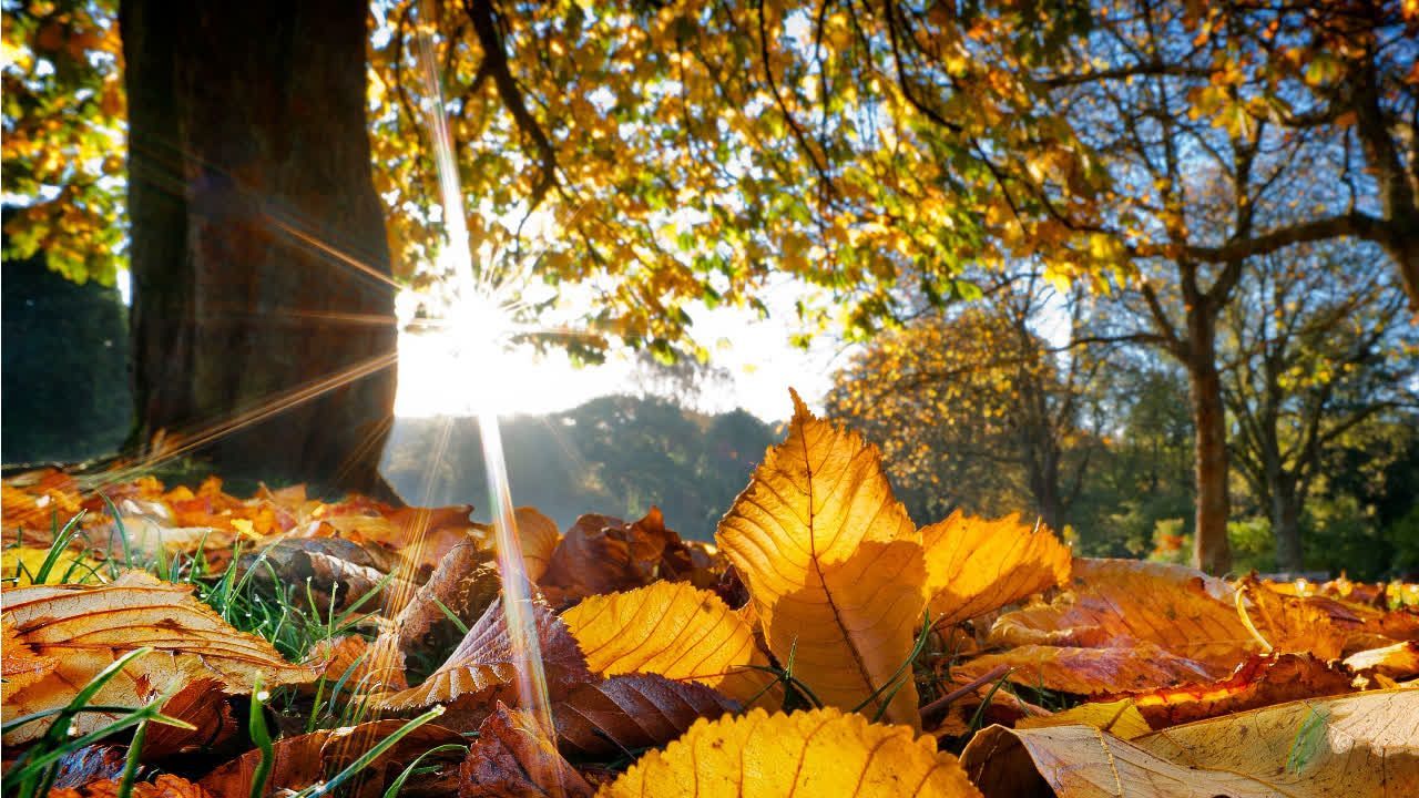 Video: Hoch Elmar bringt Sonne und bis zu 21 Grad
