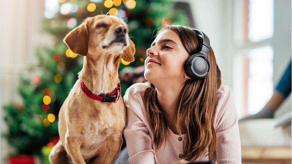 Tierisch besinnlich: Diese Weihnachtslieder mögen Hunde am liebsten