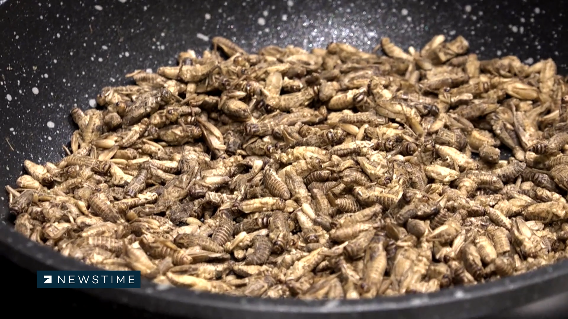 Insects in food: "Much healthier" than beef, pork and turkey?