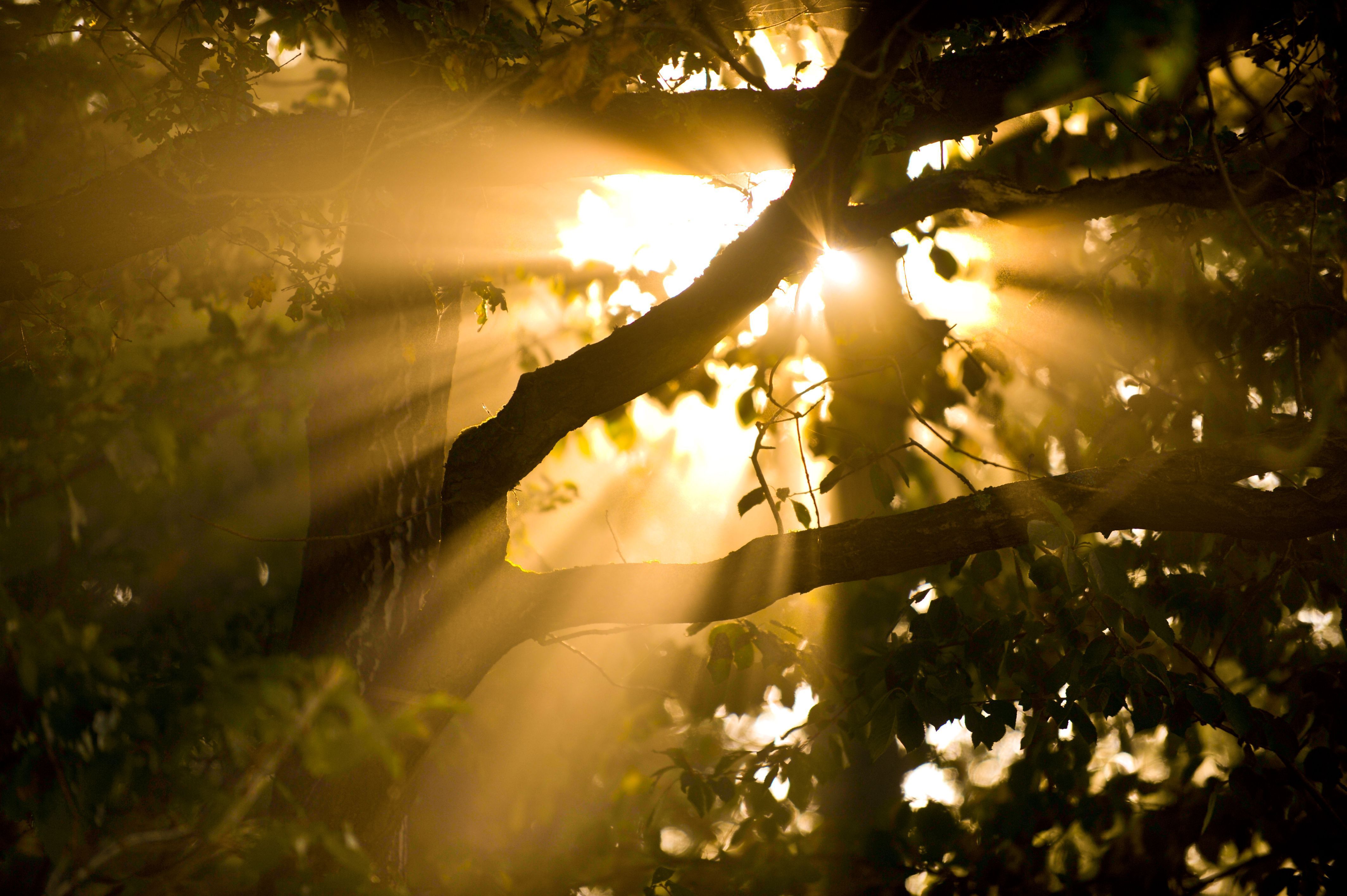 Keine Extremtemperaturen im Mai