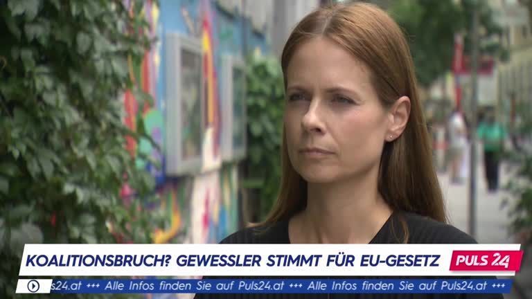 WWF: Gewessler "hat Bevölkerung hinter sich"