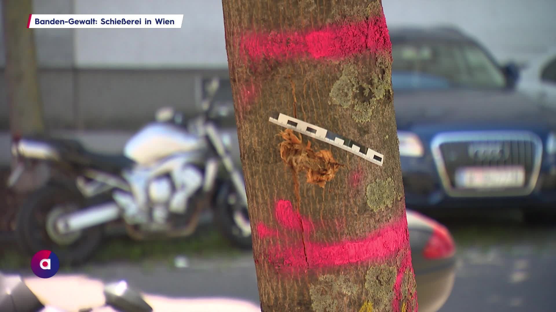 Banden-Terror: Wilde Schießerei in Wien